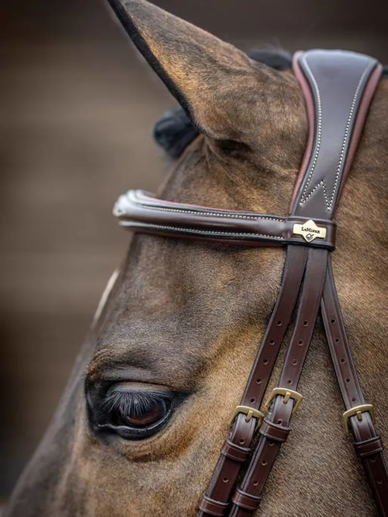 LeMieux Kudos Competition Flash Bridle Havana-3