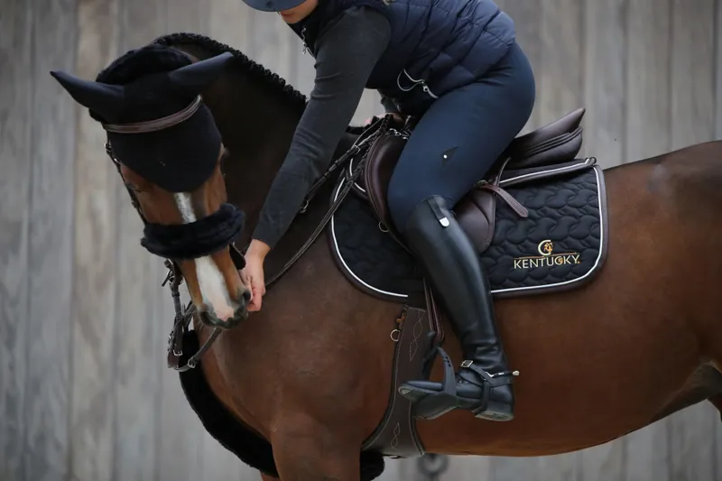 Kentucky Sheepskin Breastplate Cover Black