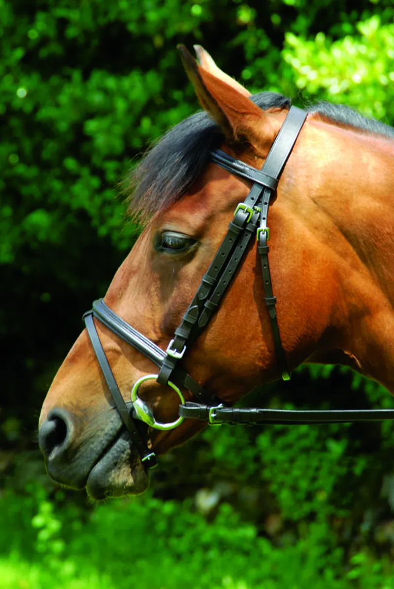 Celtic Equine Classic Bridle Black