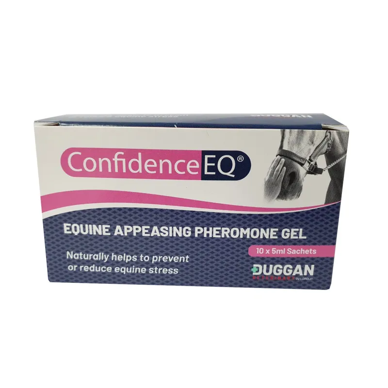 Duggan Confidence EQ