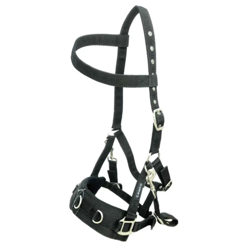 Cameo Equine Professional Lunge Cavesson Black