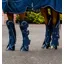 Horseware Signature Travel Boots Navy