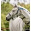 Horseware Field Safe Headcollar Navy