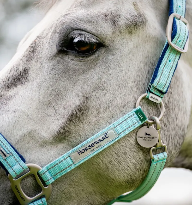 Horseware Field Safe Headcollar Blue Haze-1