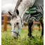 Horseware Field Safe Headcollar Blue Haze