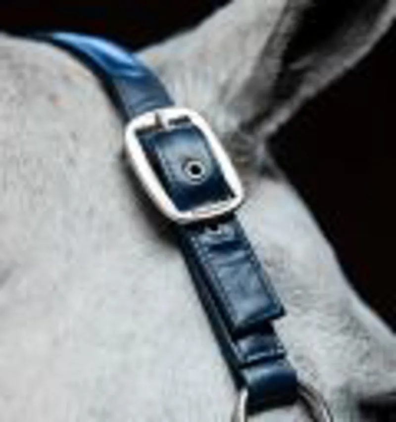 Horseware Grooming Headcollar Navy-4