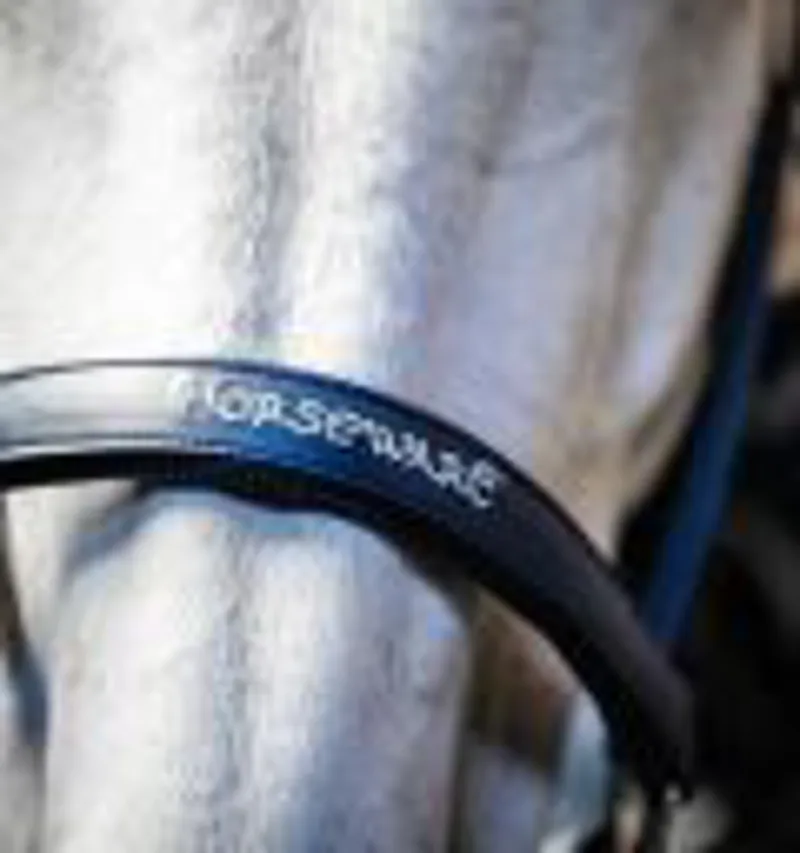 Horseware Grooming Headcollar Navy-2