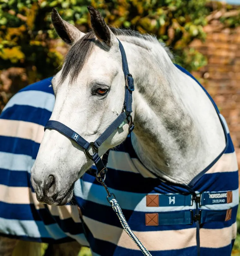 Horseware Newmarket Headcollar and Leadrope Witney Navy-1