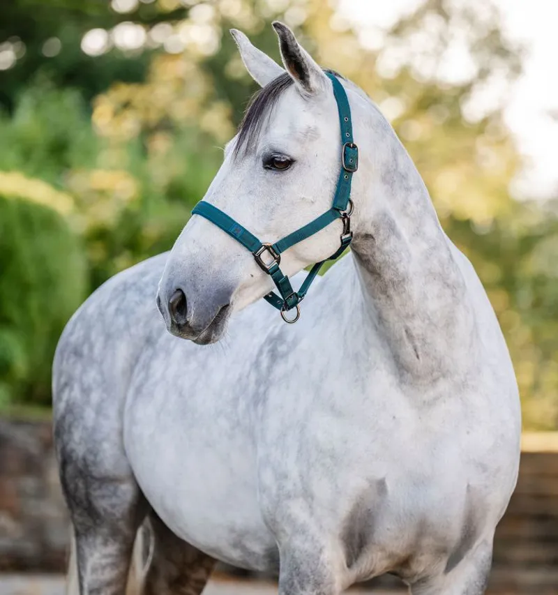 Horseware Headcollar and Leadrope Dynasty Green