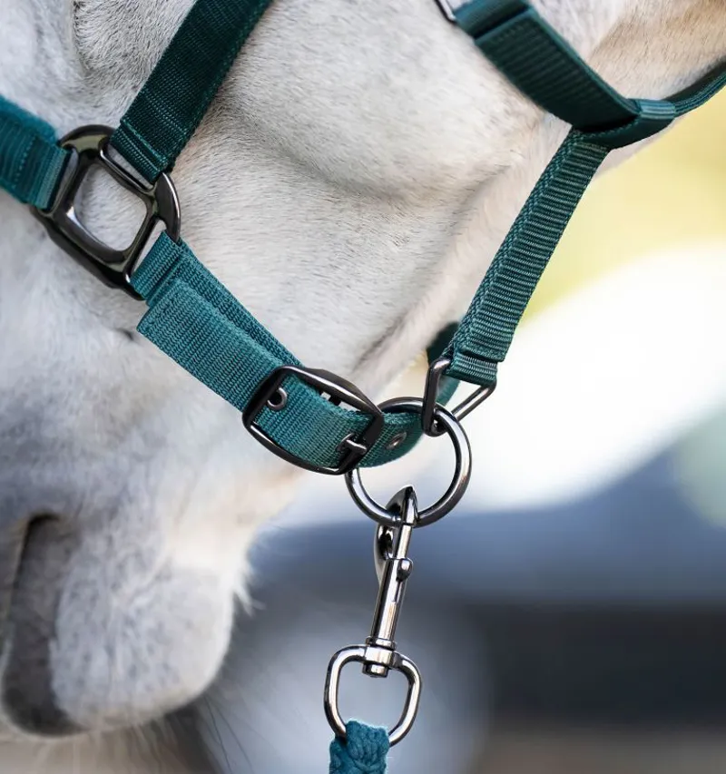 Horseware Headcollar and Leadrope Dynasty Green-1