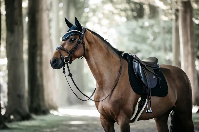 Kentucky Fly Veil Wellington Stone and Pearl Dark Navy-2