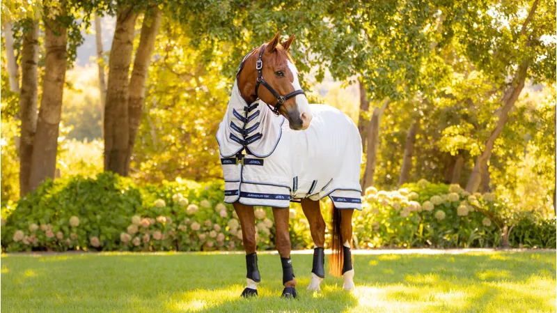 LeMieux Arika Armour-Tek Fly Rug-3