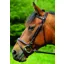 Celtic Equine Comfort Flash Bridle Black