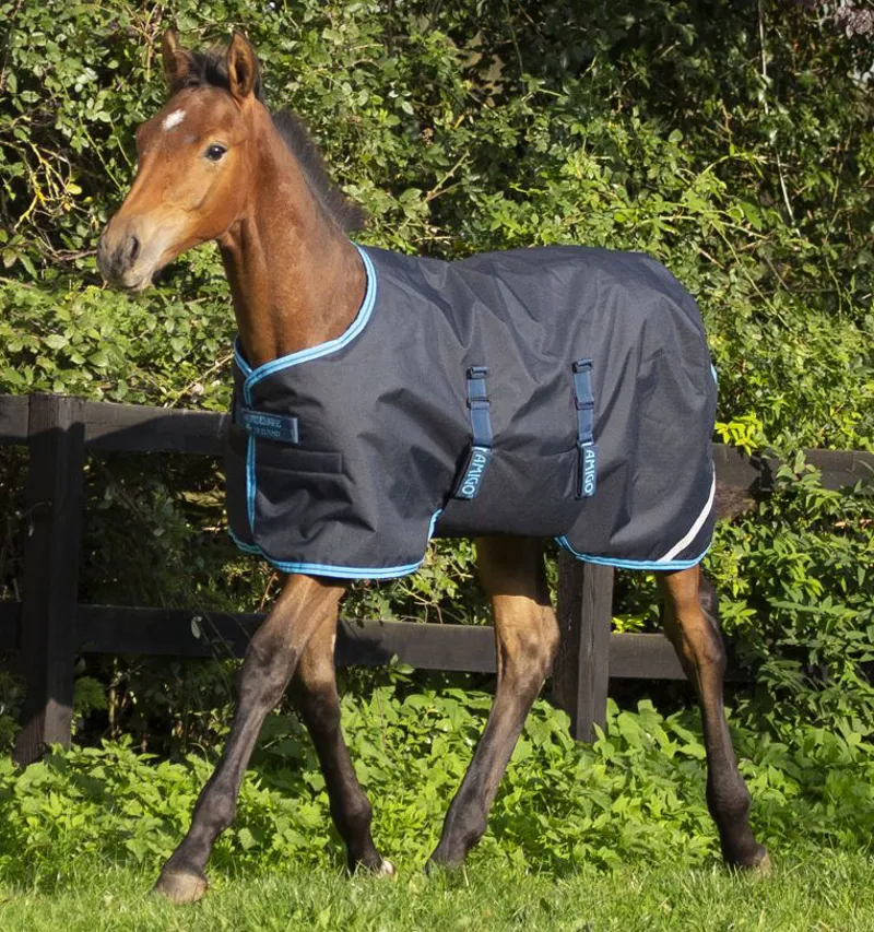 Amigo Foal Rug 50g Ripstop-1
