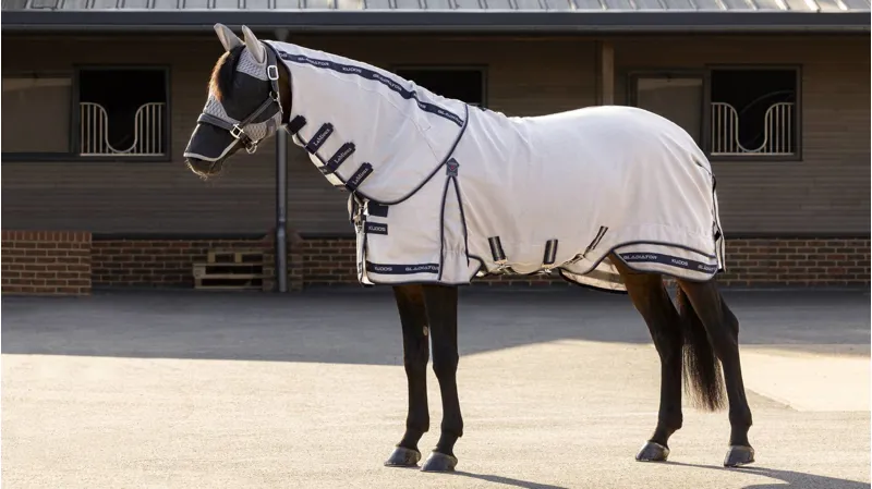 LeMieux Gladiator Fly Rug-1