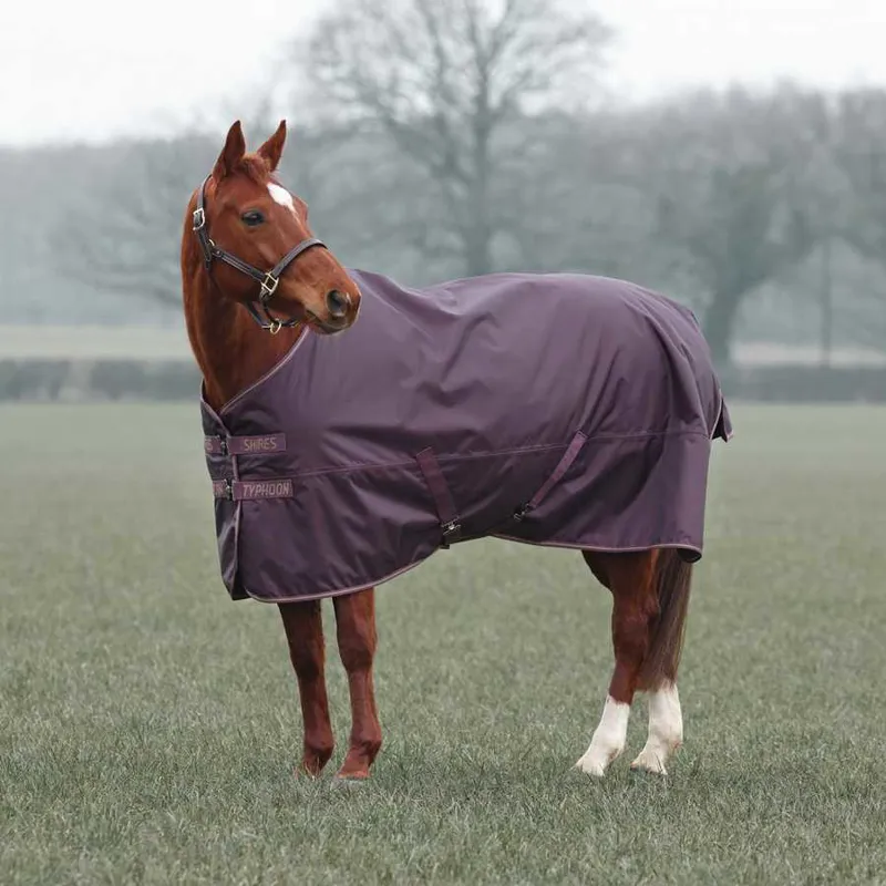 Typhoon 100 Turnout Rug BLACK CHERRY