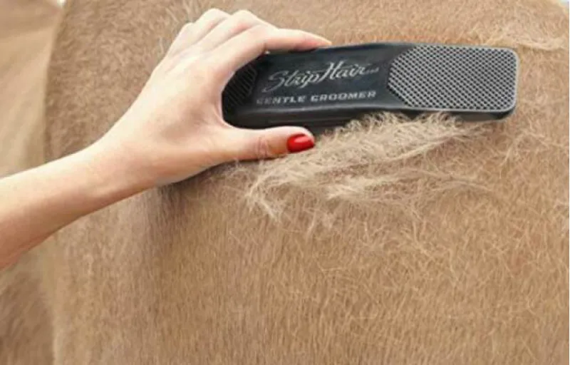 StripHair Gentle Groomer - Horse