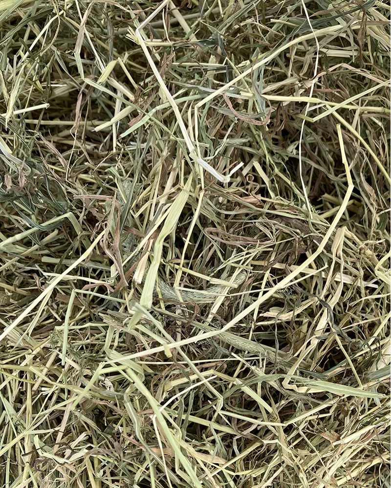 Foulkstown Dust Free Hay 75L-1