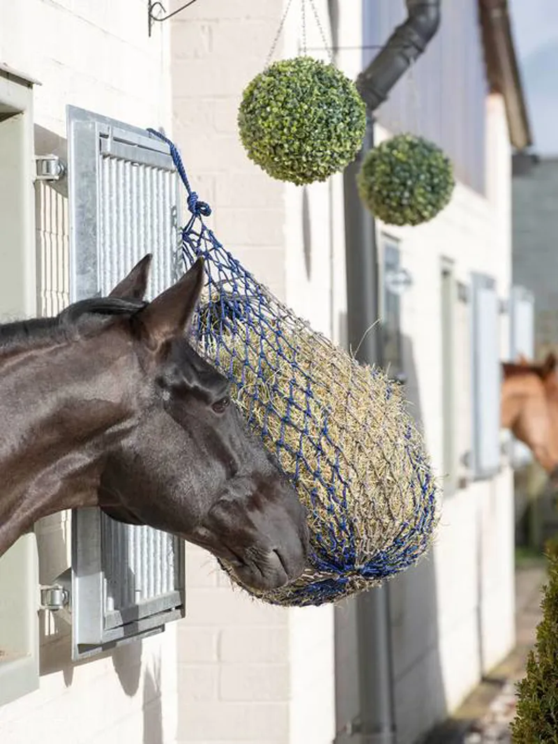 Le Mieux Hippo Haynet Navy