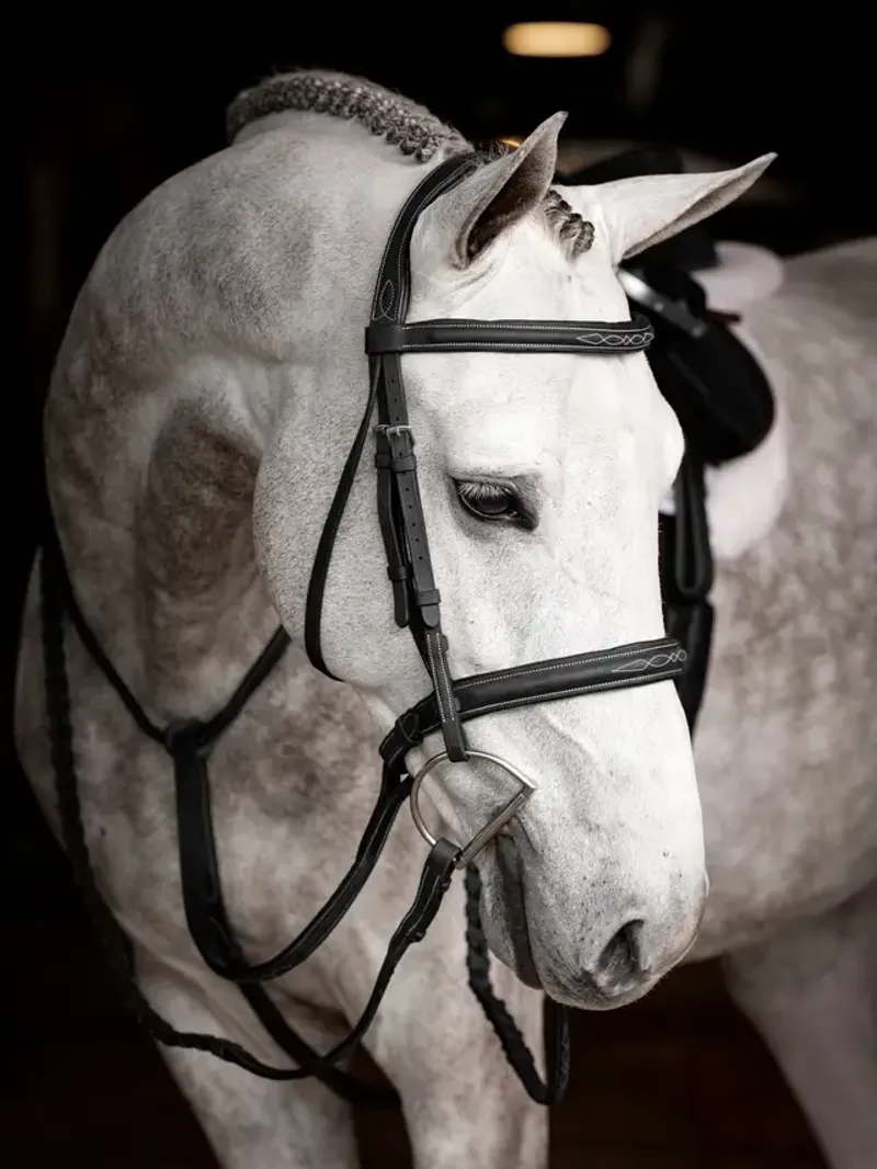 Stitched Hunter Bridle with Laced Reins Black/Silver Full