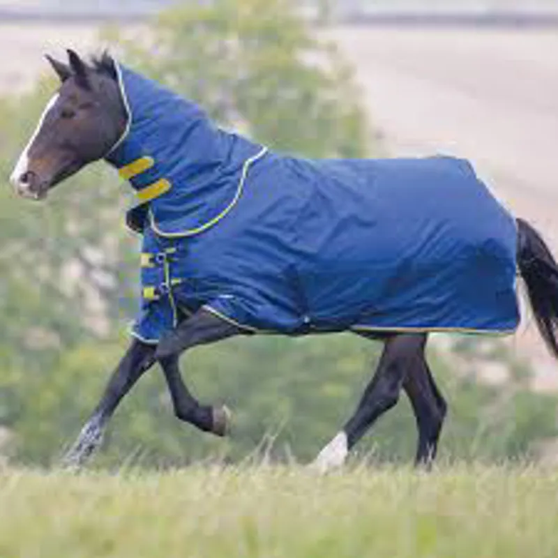 Tempest Original 300 Turnout Rug and Neck in NAVY
