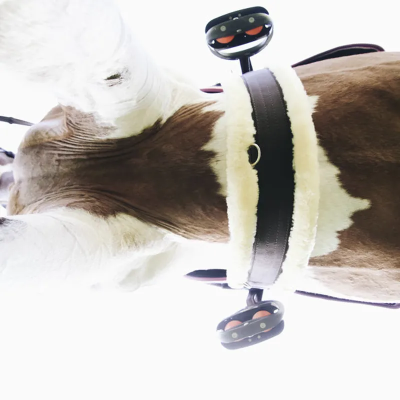 Kentucky Sheepskin Girth Brown-1