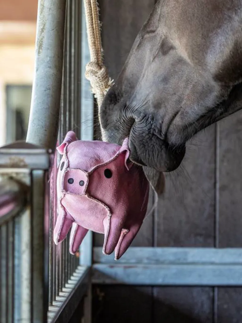 Le Mieux Horse Toy Flying Pig