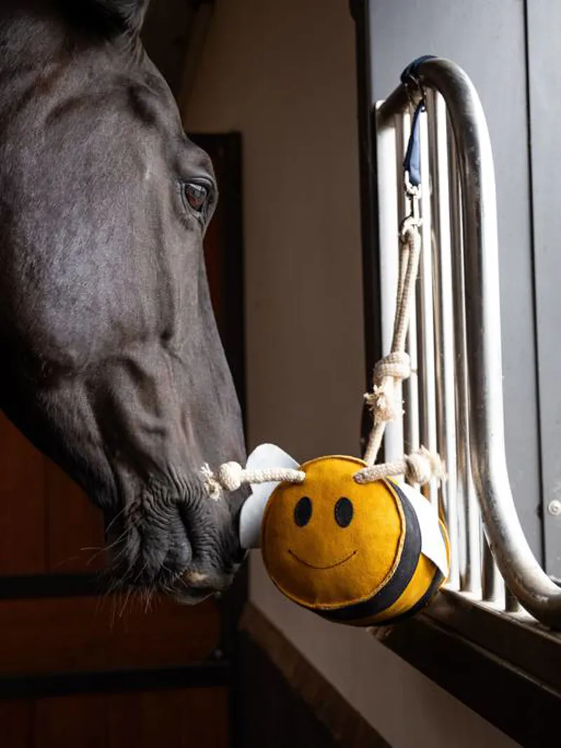 Le Mieux Horse Toy Bee