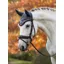 Le Mieux Loire Fly Hood Petrol