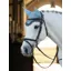 Le Mieux Classic Fly Hood Glacier