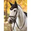 Le Mieux Classic Fly Hood Cinder