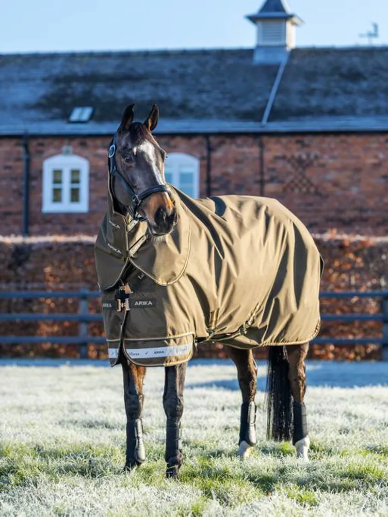 Le Mieux Arika Ripstop 200g Turnout Rug Alpine
