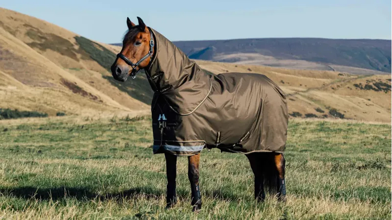 Le Mieux Arika Ripstop 100g Turnout Rug Alpine-1