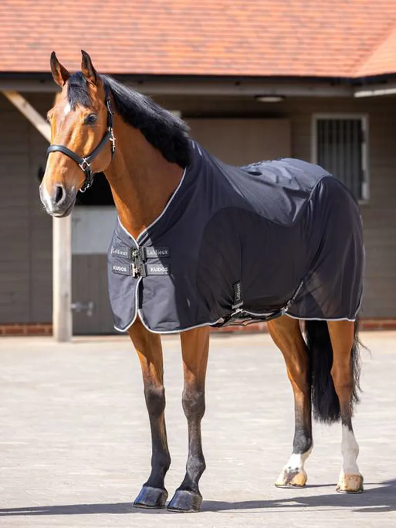 Le Mieux Kudos Hybrid Cooler Black-1