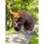 Le Mieux Hobby Horse Fly Hood Ginger