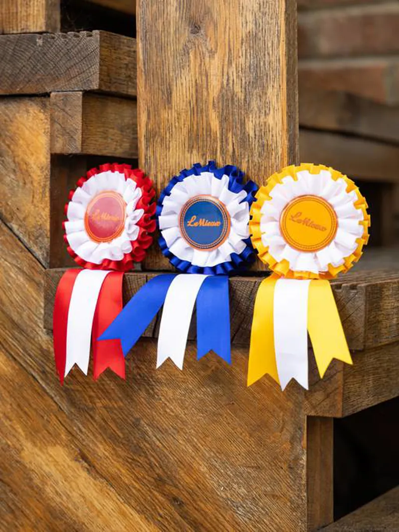 Le Mieux Hobby Horse Rosette Pack Multi