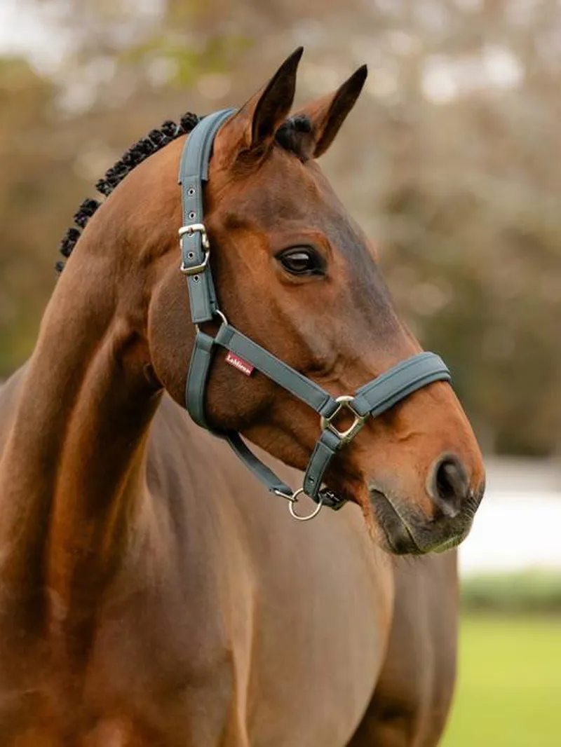 Le Mieux Soft Shell Headcollar Petrol