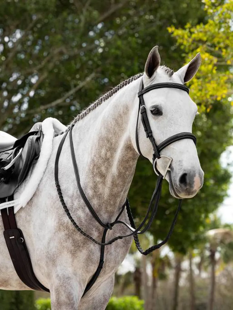 Le Mieux Hunter Laced Reins With Stitching Black/Silver-1