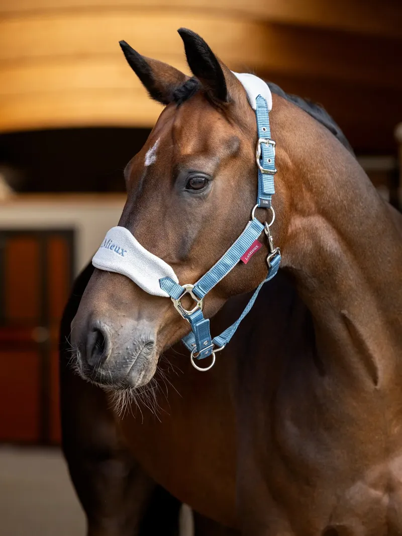 Le Mieux Vogue Headcollar and Leadrope Ice Blue