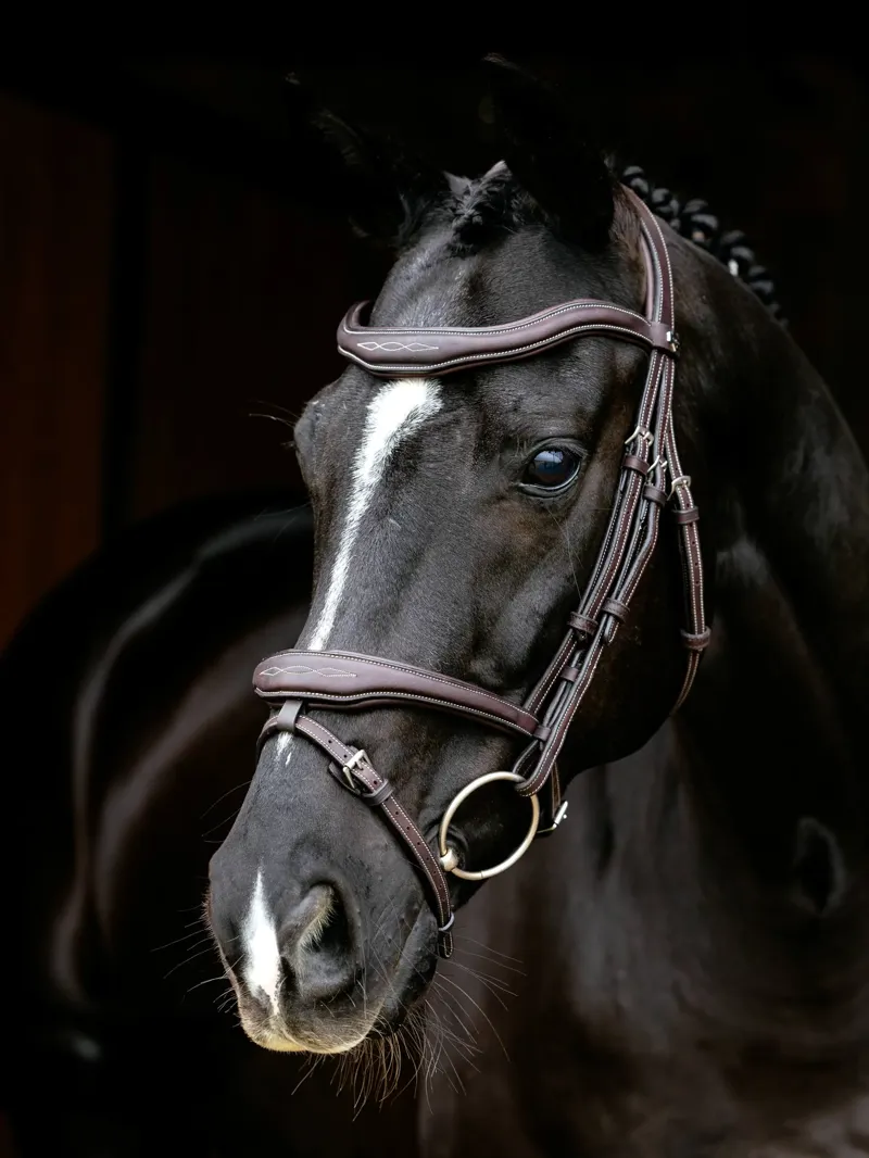 Le Mieux Kudos Contour Flash Bridle Brown