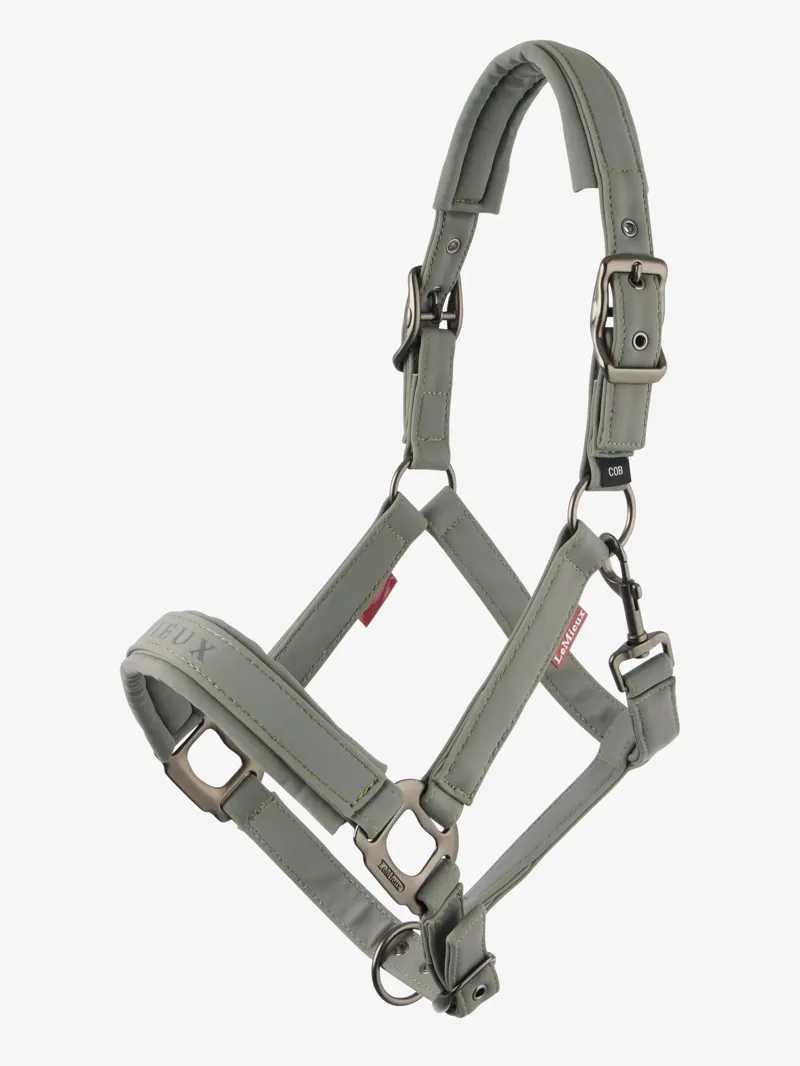 Le Mieux Essence Headcollar Rosemary-1