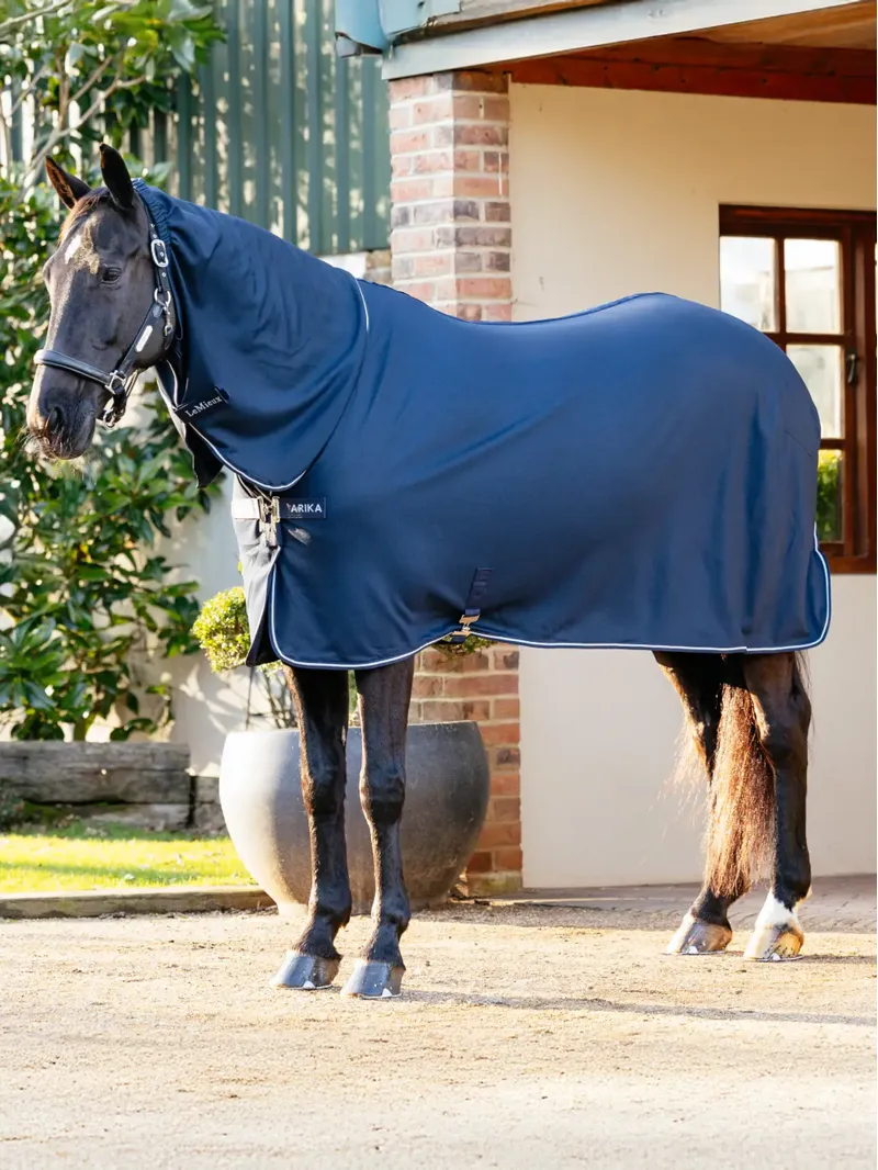 Le Mieux Arika DryEase Rug Navy