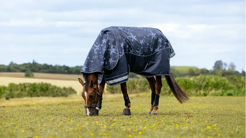 Arika Star 100g Turnout Rug Navy-1