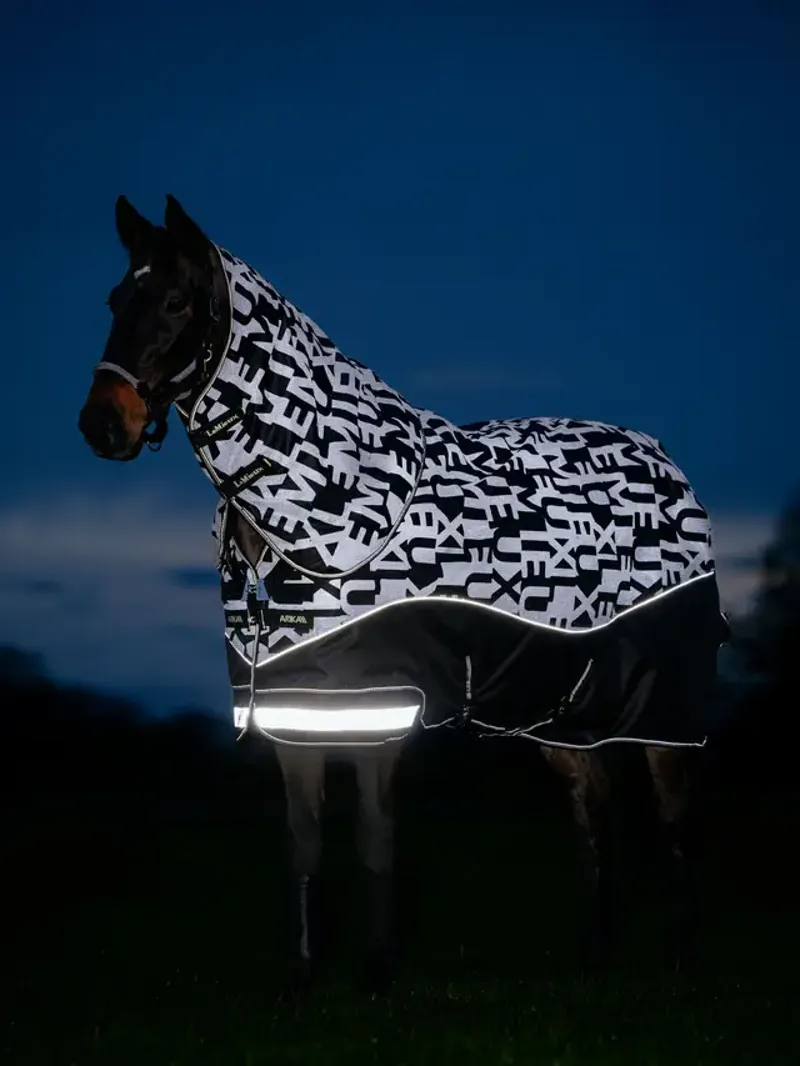 Arika Reflective 200g Turnout Rug Black