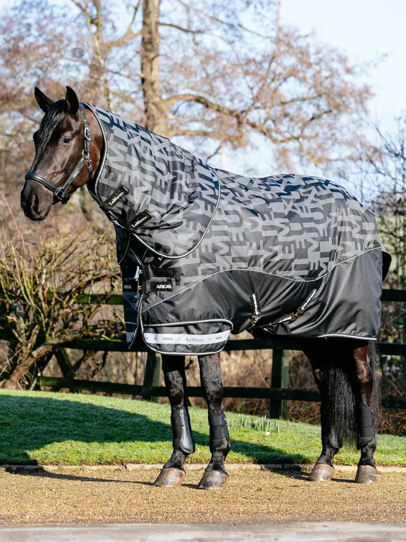Arika Reflective 200g Turnout Rug Black-1