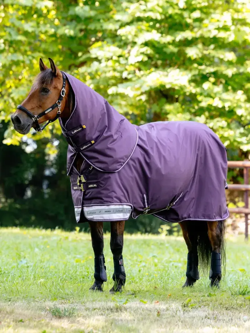 Arika Ripstop 200g Turnout Rug Juniper