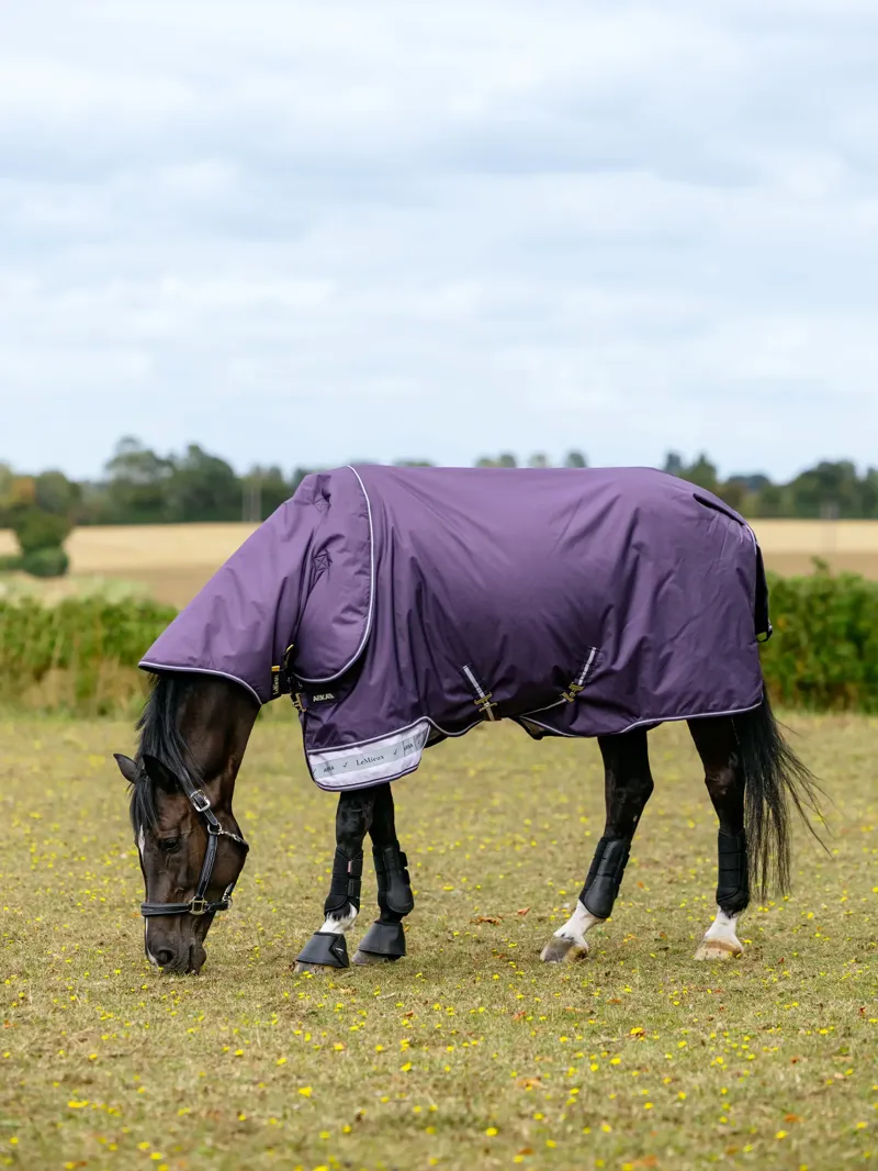 Le Mieux Arika Ripstop 100g Turnout Rug Juniper