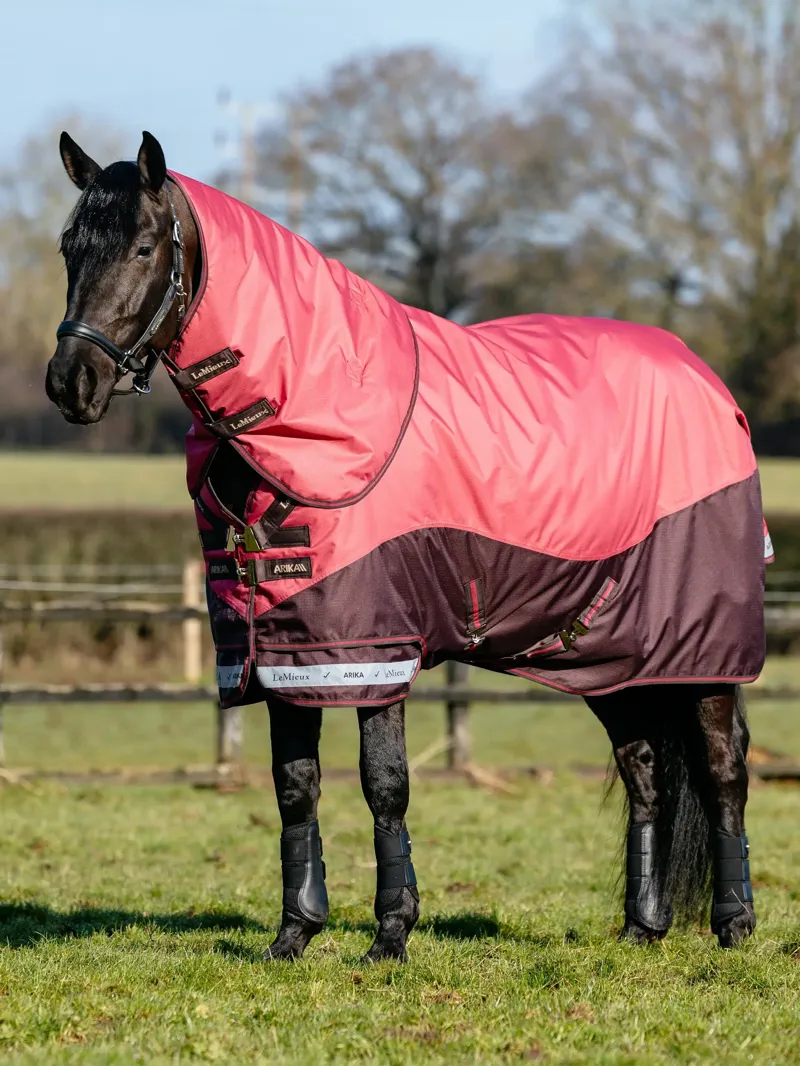 Le Mieux Arika Ripstop 100g Turnout Rug Cranberry