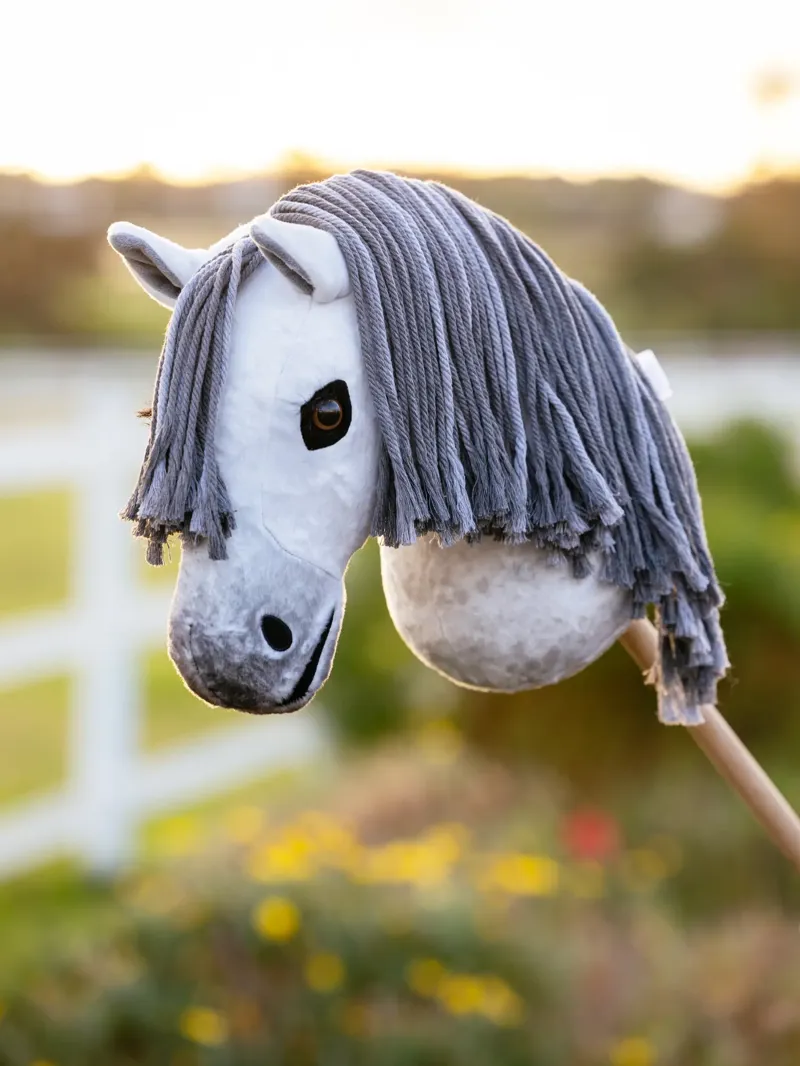 Le Mieux Hobby Horse Earl