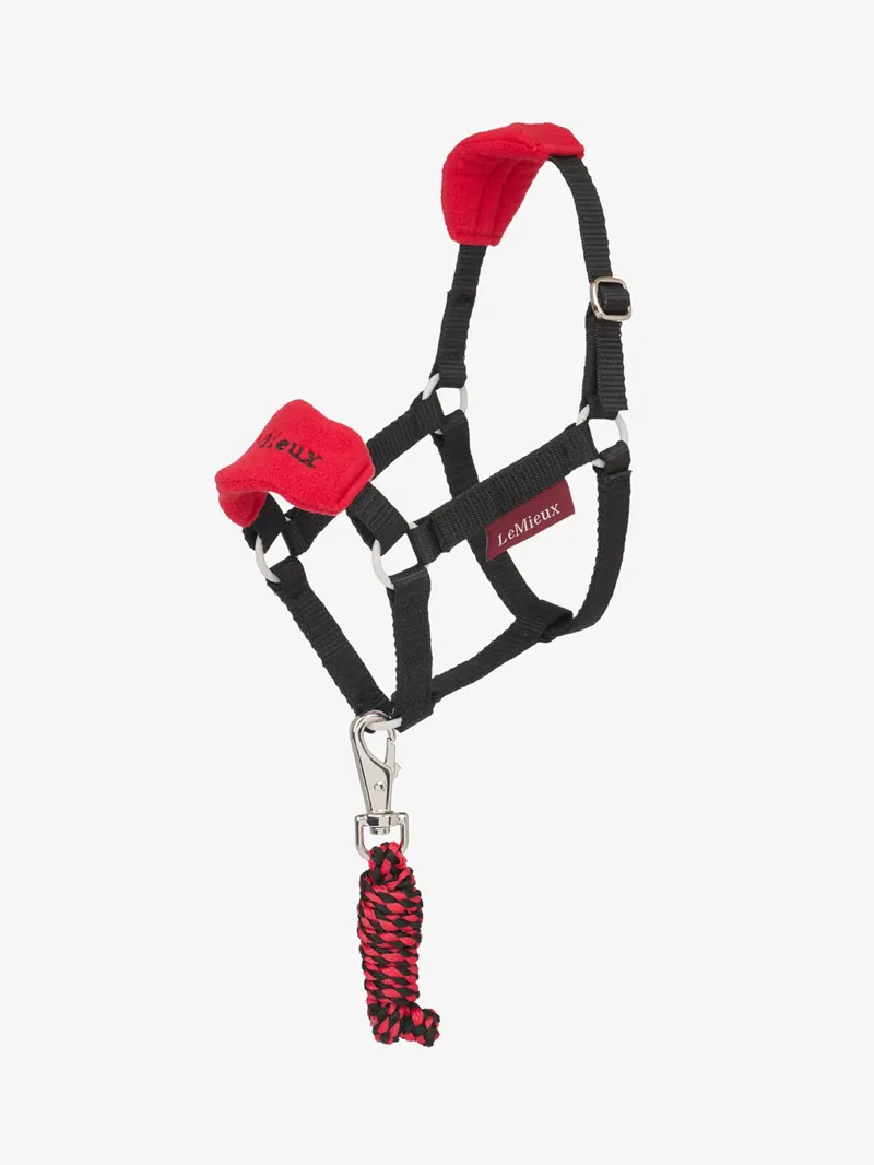Le Mieux Hobby Horse Vogue Headcollar and Leadrope Chilli-1